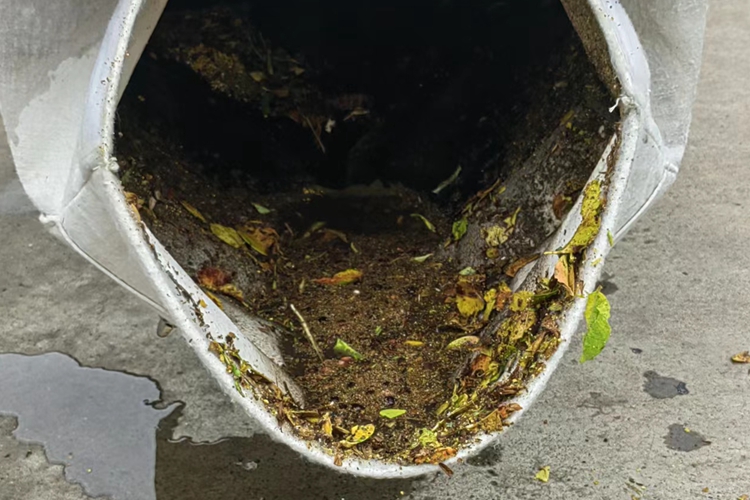 云南昆明寶來(lái)潔燃油版WBLV506H吸葉機(jī)草坪、學(xué)校、小區(qū)、公園、市政綠化保潔吸樹(shù)葉機(jī)